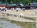 20180503_164155.jpg