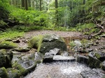 20190829_144438.jpg